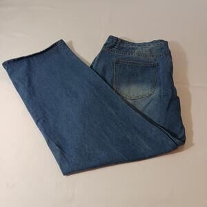 Surprise Women's Blue Denim Distressed 4-Button Jeans Size 2XL Measured (40×29)
